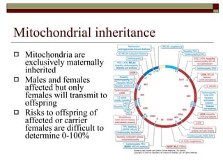 Mitochondrial inheritance Mitochondria are exclusively maternally inherited Males and females affected but only females will transmit to offspring Risks to offspring of affected or carrier females are difficult to determine 0-100% 