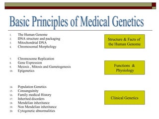 The Human Genome  DNA structure and packaging Mitochondrial DNA Chromosomal Morphology Chromosome Replication Gene Expression Meiosis , Mitosis and Gametogenesis Epigenetics Population Genetics Consanguinity Family medical History Inherited disorders Mendelian inheritance Non Mendelian inheritance Cytogenetic abnormalities Basic Principles of Medical Genetics Structure & Facts of  the Human Genome Functions  & Physiology Clinical Genetics 