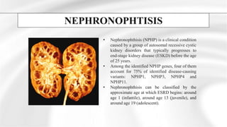 GENETICS and KIDNEY DISEASES / | PPTX