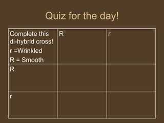 Quiz for the day! r R r R Complete this di-hybrid cross! r =Wrinkled  R = Smooth 