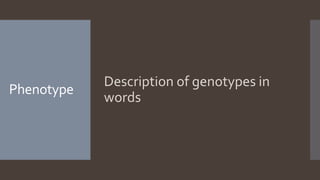 Phenotype
Description of genotypes in
words
 