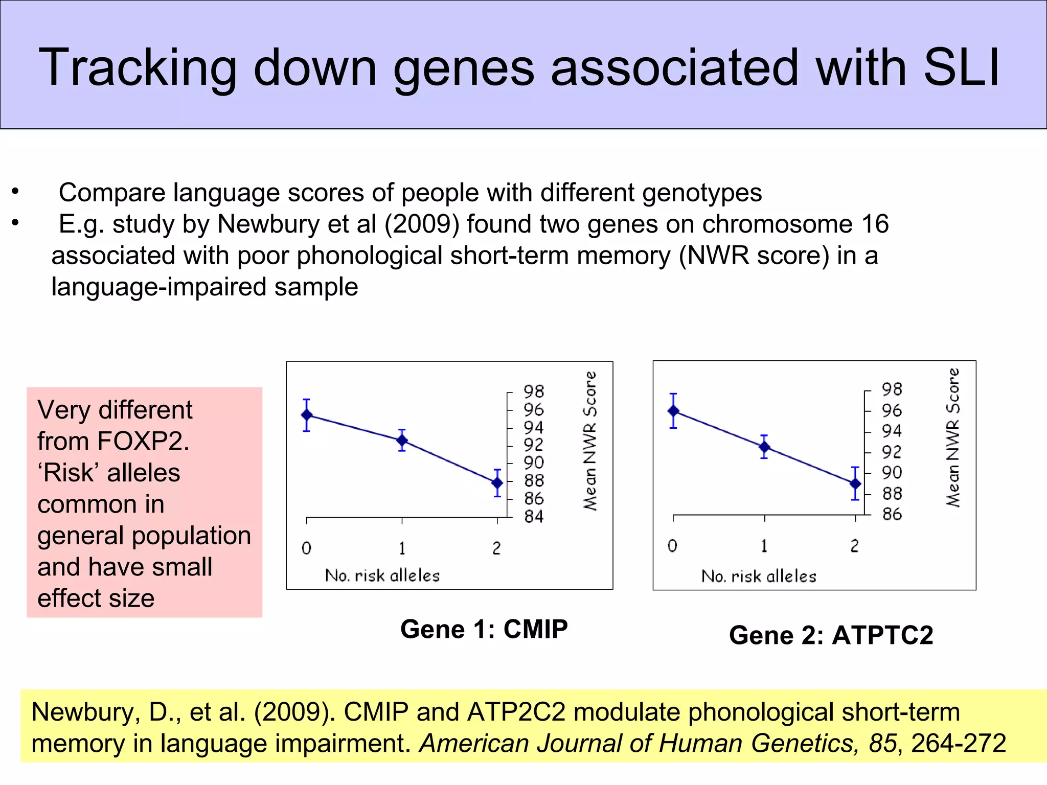 Tracking down genes associated with SLI

•     Compare language scores of people with different genotypes
•     E.g. study by Newbury et al (2009) found two genes on chromosome 16
     associated with poor phonological short-term memory (NWR score) in a
     language-impaired sample



    Very different
    from FOXP2.
    ‘Risk’ alleles
    common in
    general population
    and have small
    effect size
                                 Gene 1: CMIP               Gene 2: ATPTC2

    Newbury, D., et al. (2009). CMIP and ATP2C2 modulate phonological short-term
                                                                                 11
    memory in language impairment. American Journal of Human Genetics, 85, 264-272
 