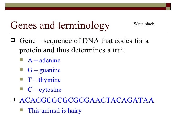 Genetics Basics