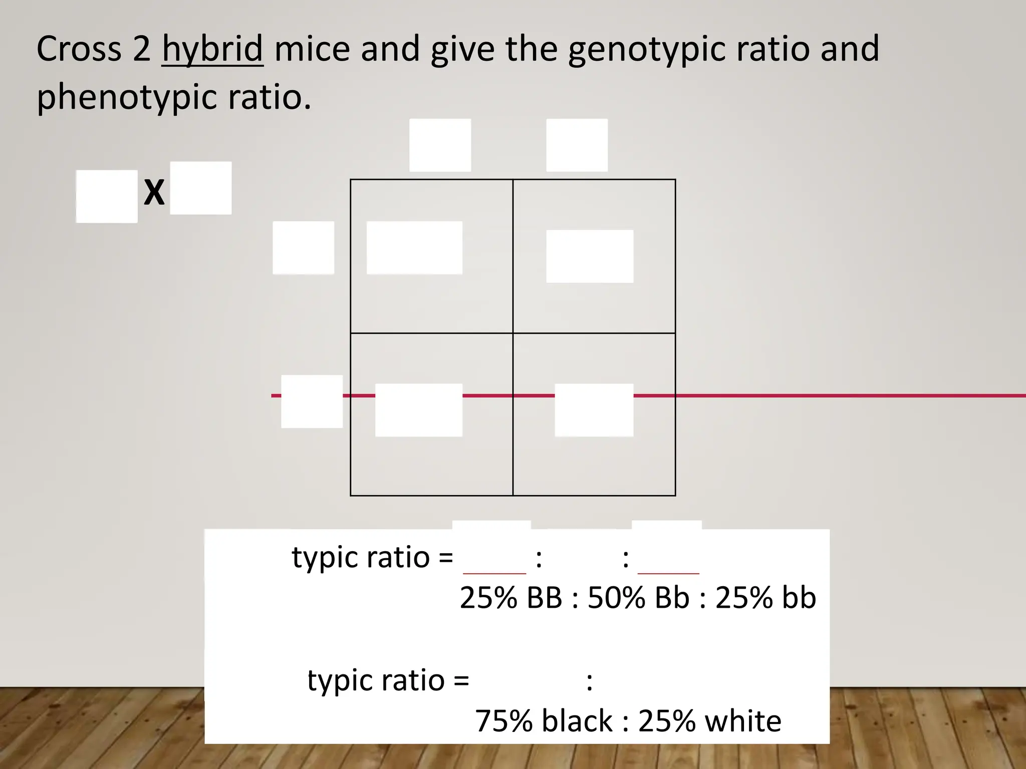 BB Bb
Bb bb
B b
B
Genotypic ratio = 1 BB : 2 Bb : 1 bb
25% BB : 50% Bb : 25% bb
Phenotypic ratio = 3 black : 1 white
75% black : 25% white
Cross 2 hybrid mice and give the genotypic ratio and
phenotypic ratio.
Bb X Bb
b
 