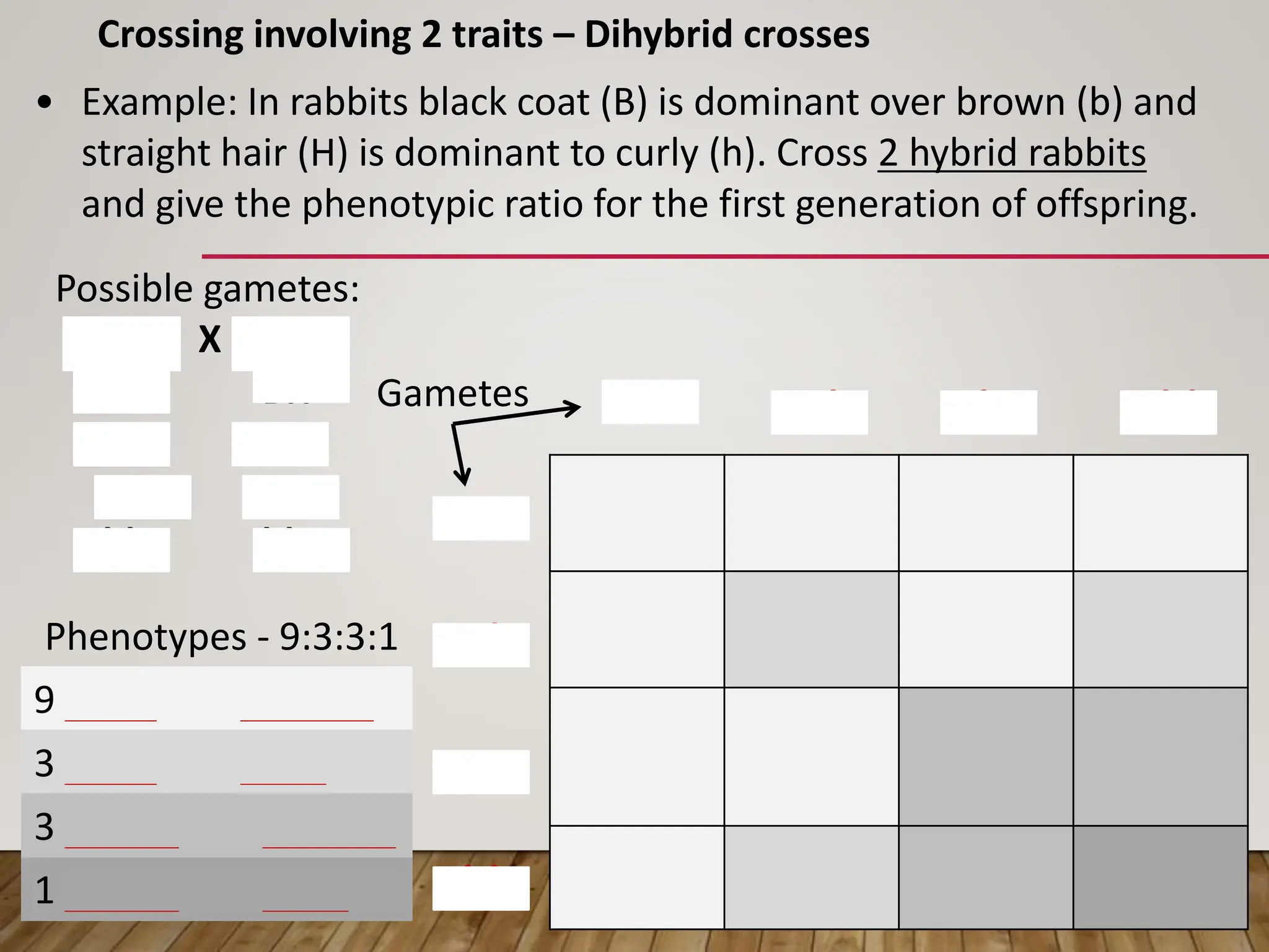 1 brown and curly
BBHH BBHh BbHH BbHh
BBHh BBhh BbHh Bbhh
BbHH BbHh bbHH bbHh
BbHh Bbhh bbHh bbhh
BH
BH
Bh
Bh
bH
bH
bh
bh
9 black and straight
3 black and curly
3 brown and straight
Gametes
Crossing involving 2 traits – Dihybrid crosses
• Example: In rabbits black coat (B) is dominant over brown (b) and
straight hair (H) is dominant to curly (h). Cross 2 hybrid rabbits
and give the phenotypic ratio for the first generation of offspring.
Possible gametes:
BbHh X BbHh
BH BH
Bh Bh
bH bH
bh bh
Phenotypes - 9:3:3:1
 