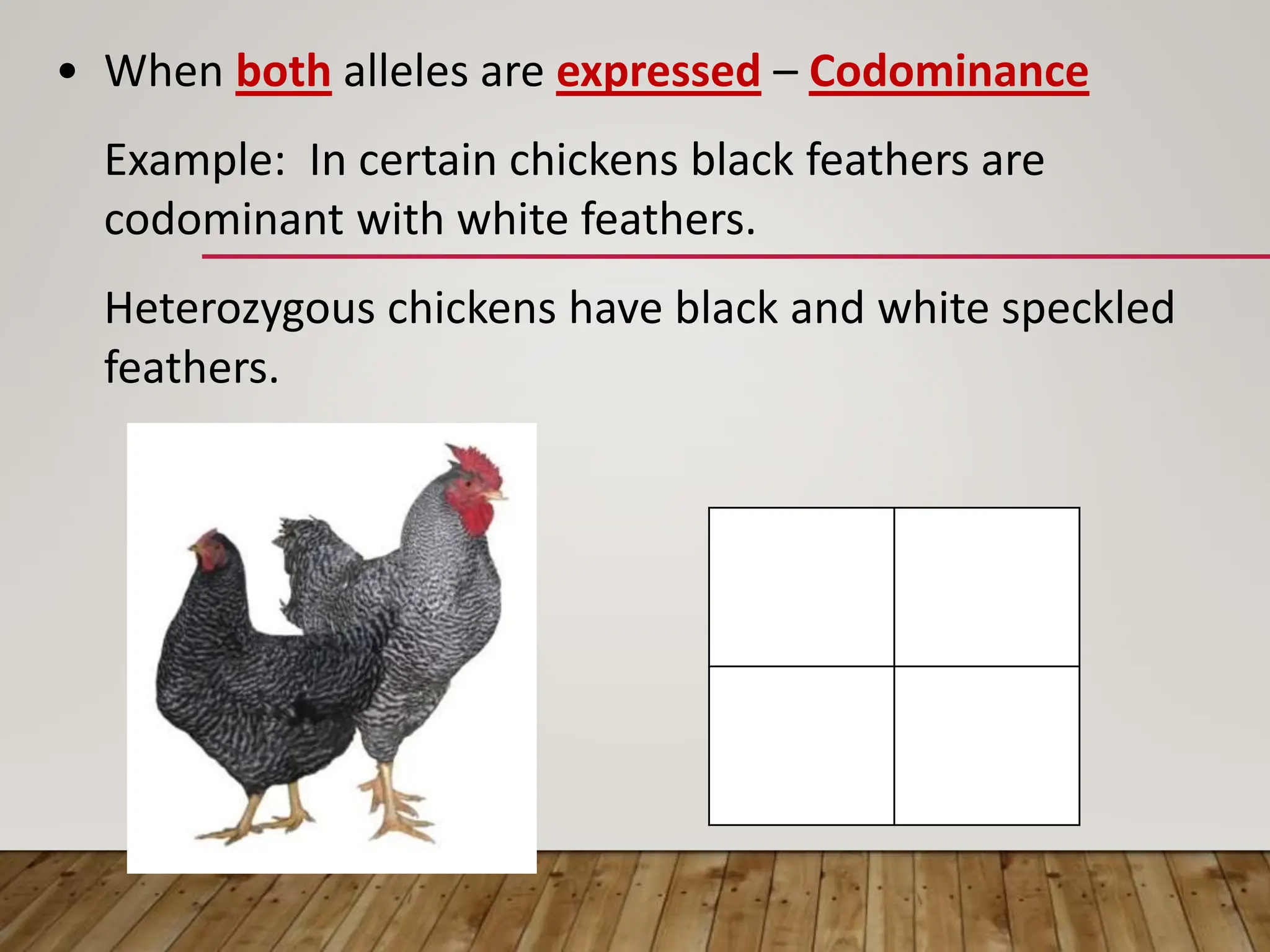 • When both alleles are expressed – Codominance
Example: In certain chickens black feathers are
codominant with white feathers.
Heterozygous chickens have black and white speckled
feathers.
 