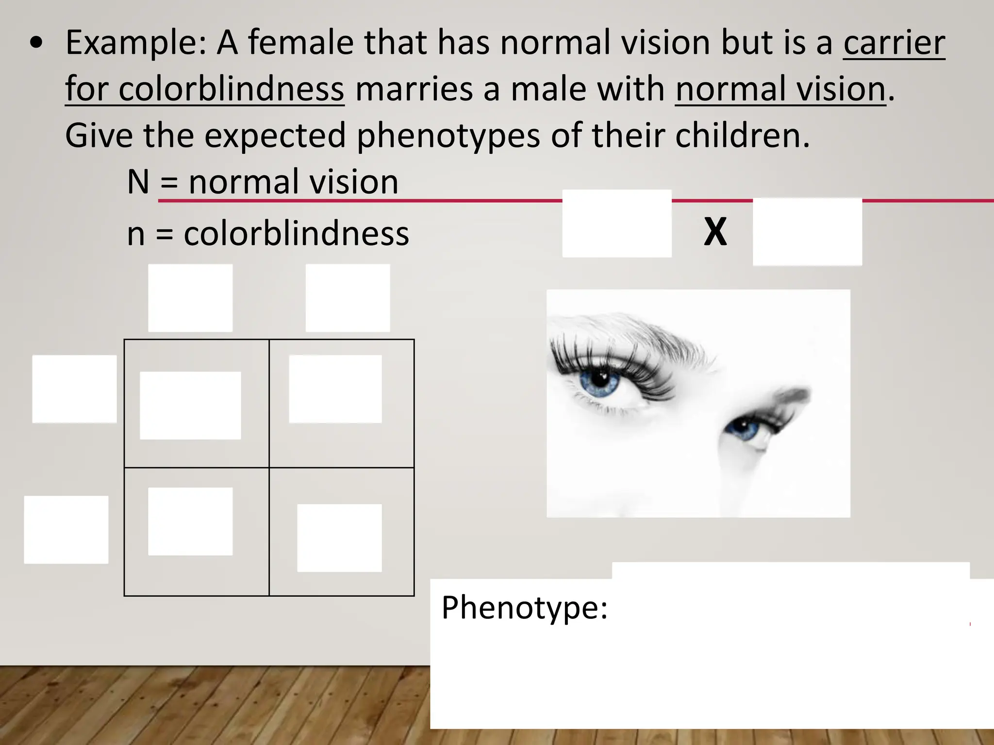 XNXN XNXn
XNY XnY
XN Xn
XN
Y
Phenotype: 2 normal vision females
1 normal vision male
1 colorblind male
• Example: A female that has normal vision but is a carrier
for colorblindness marries a male with normal vision.
Give the expected phenotypes of their children.
N = normal vision
n = colorblindness XN Xn X XN Y
 
