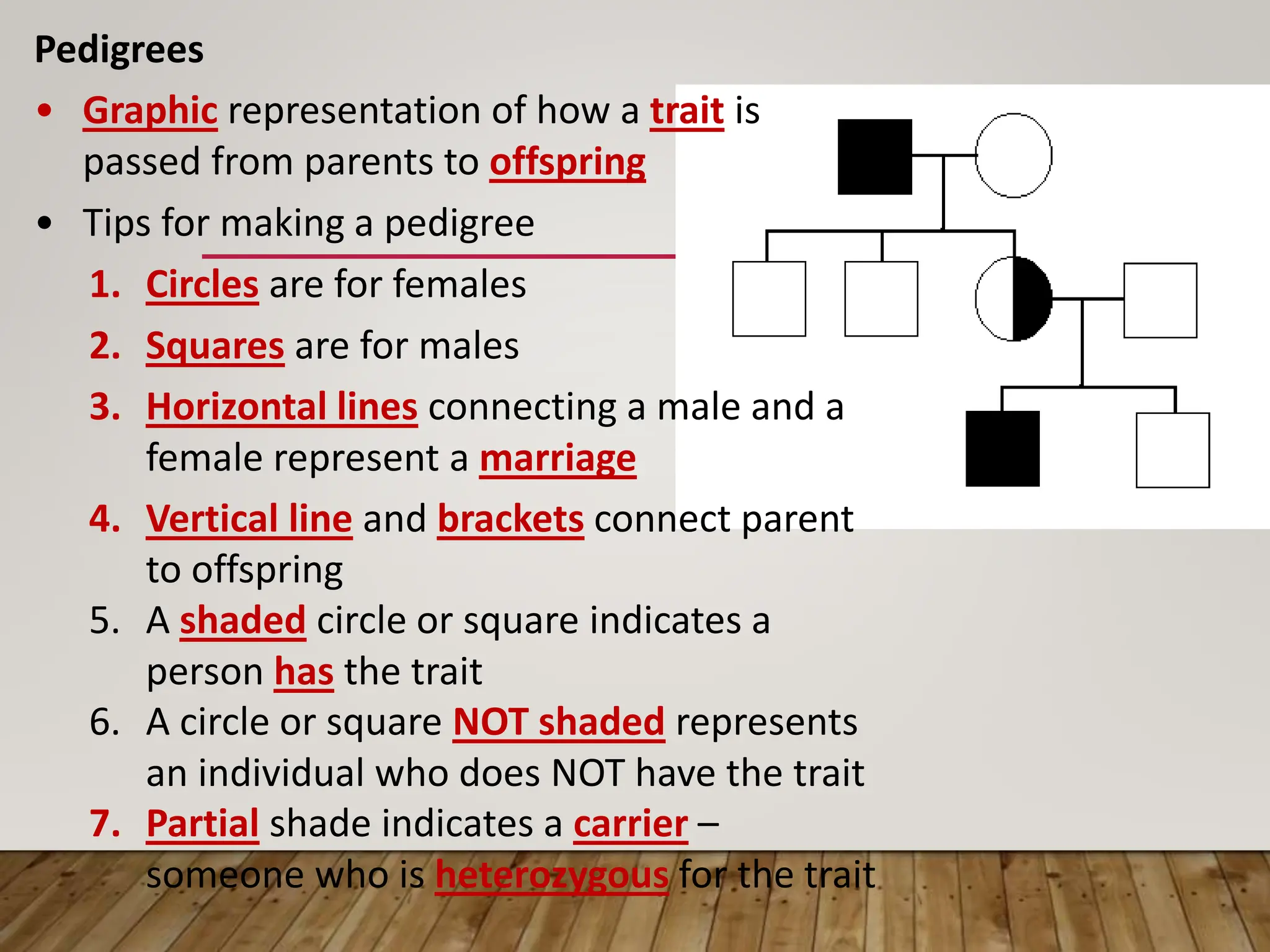Pedigrees
• Graphic representation of how a trait is
passed from parents to offspring
• Tips for making a pedigree
1. Circles are for females
2. Squares are for males
3. Horizontal lines connecting a male and a
female represent a marriage
4. Vertical line and brackets connect parent
to offspring
5. A shaded circle or square indicates a
person has the trait
6. A circle or square NOT shaded represents
an individual who does NOT have the trait
7. Partial shade indicates a carrier –
someone who is heterozygous for the trait
 