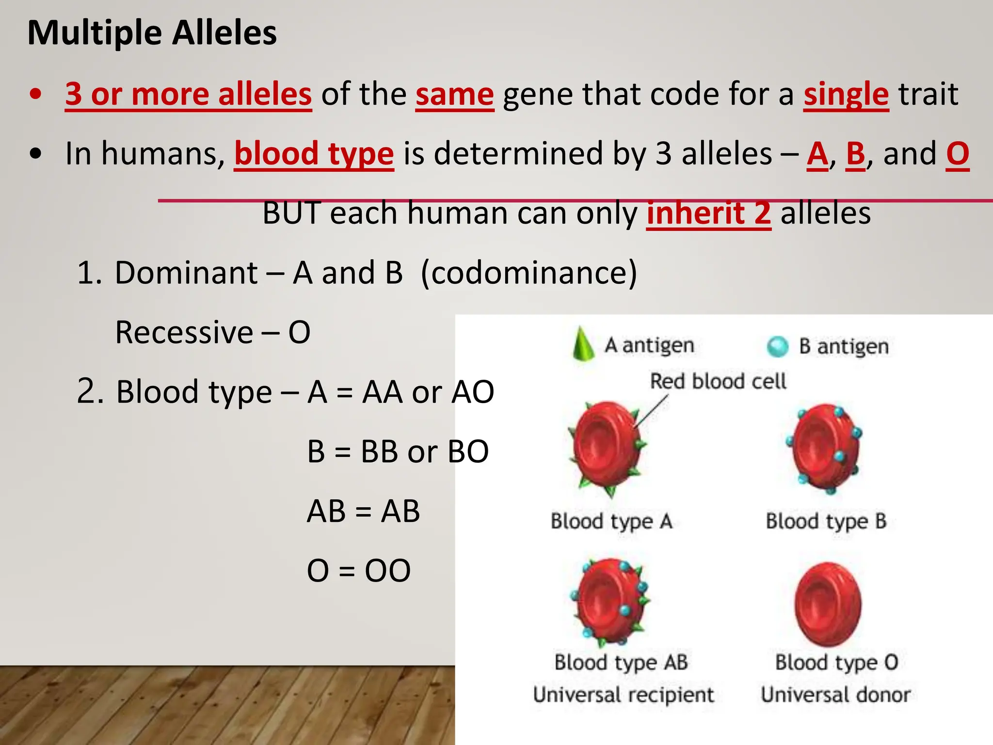 Multiple Alleles
• 3 or more alleles of the same gene that code for a single trait
• In humans, blood type is determined by 3 alleles – A, B, and O
BUT each human can only inherit 2 alleles
1. Dominant – A and B (codominance)
Recessive – O
2. Blood type – A = AA or AO
B = BB or BO
AB = AB
O = OO
 