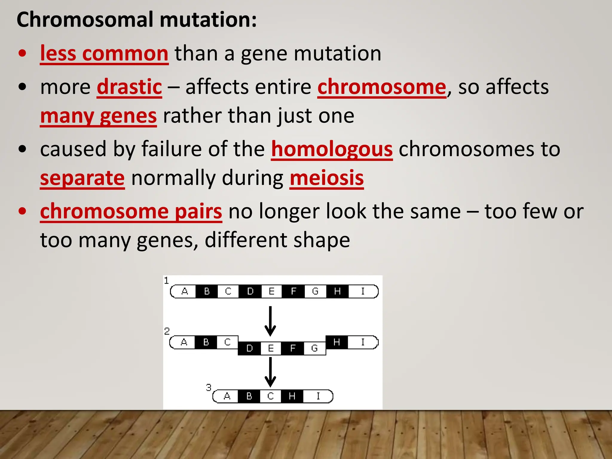 Chromosomal mutation:
• less common than a gene mutation
• more drastic – affects entire chromosome, so affects
many genes rather than just one
• caused by failure of the homologous chromosomes to
separate normally during meiosis
• chromosome pairs no longer look the same – too few or
too many genes, different shape
 