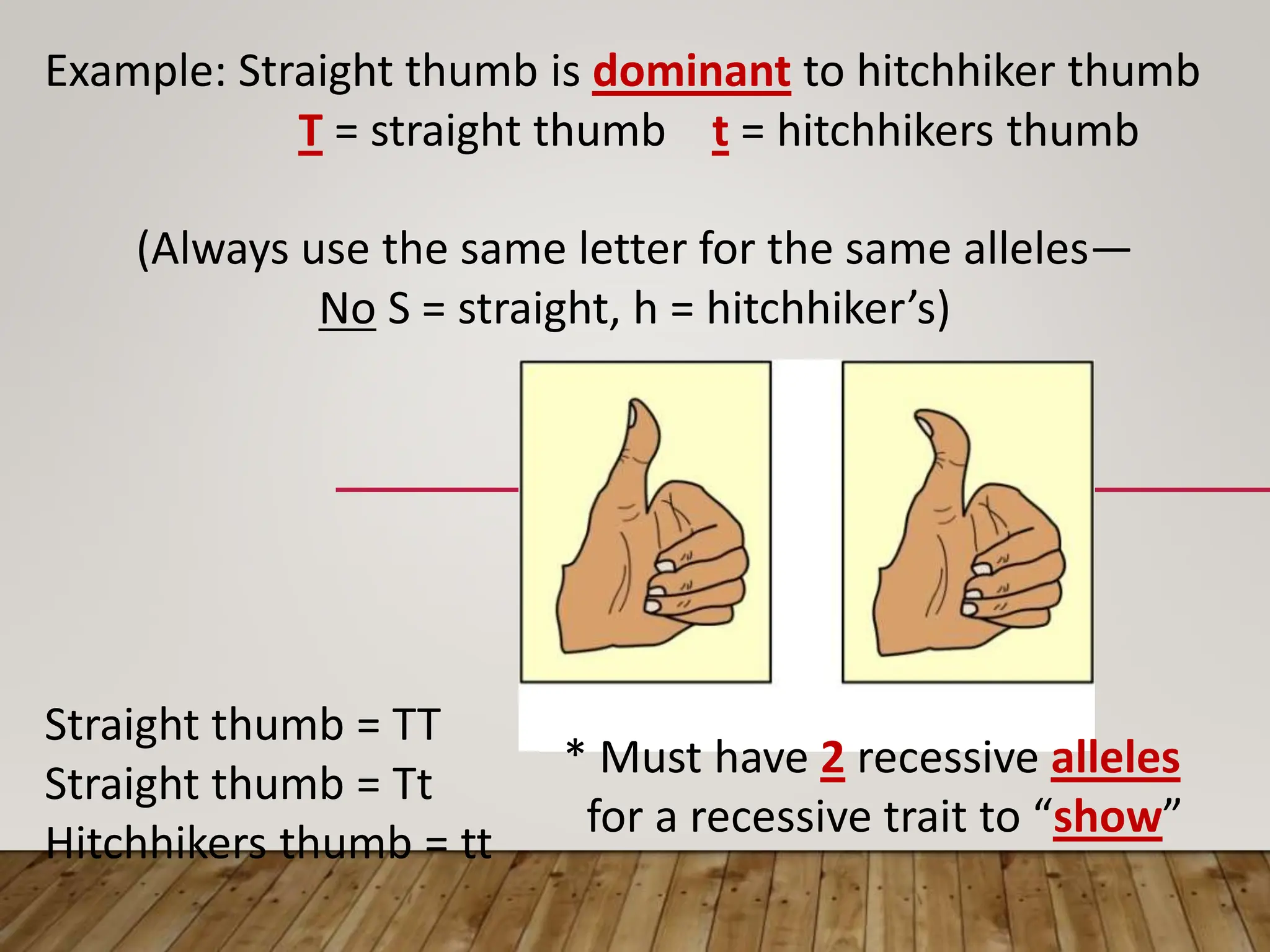 Example: Straight thumb is dominant to hitchhiker thumb
T = straight thumb t = hitchhikers thumb
(Always use the same letter for the same alleles—
No S = straight, h = hitchhiker’s)
Straight thumb = TT
Straight thumb = Tt
Hitchhikers thumb = tt
* Must have 2 recessive alleles
for a recessive trait to “show”
 