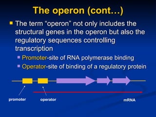 Genetics c | PPT