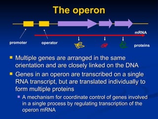 Genetics c | PPT