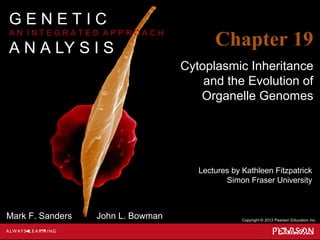 Lectures by Kathleen Fitzpatrick
Simon Fraser University
Copyright © 2012 Pearson Education Inc.
Mark F. Sanders John L. Bowman
G E N E T I C
A N I N T E G R A T E D A P P R O A C H
A N A LY S I S Chapter 19
Cytoplasmic Inheritance
and the Evolution of
Organelle Genomes
 