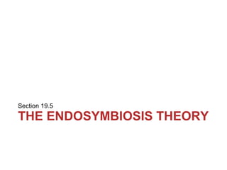 19.5 The
Endosymbiosis Theory
Explains Mitochondrial
and Chloroplast
Evolution
• Endosymbiosis is a
mutually beneficial
re...