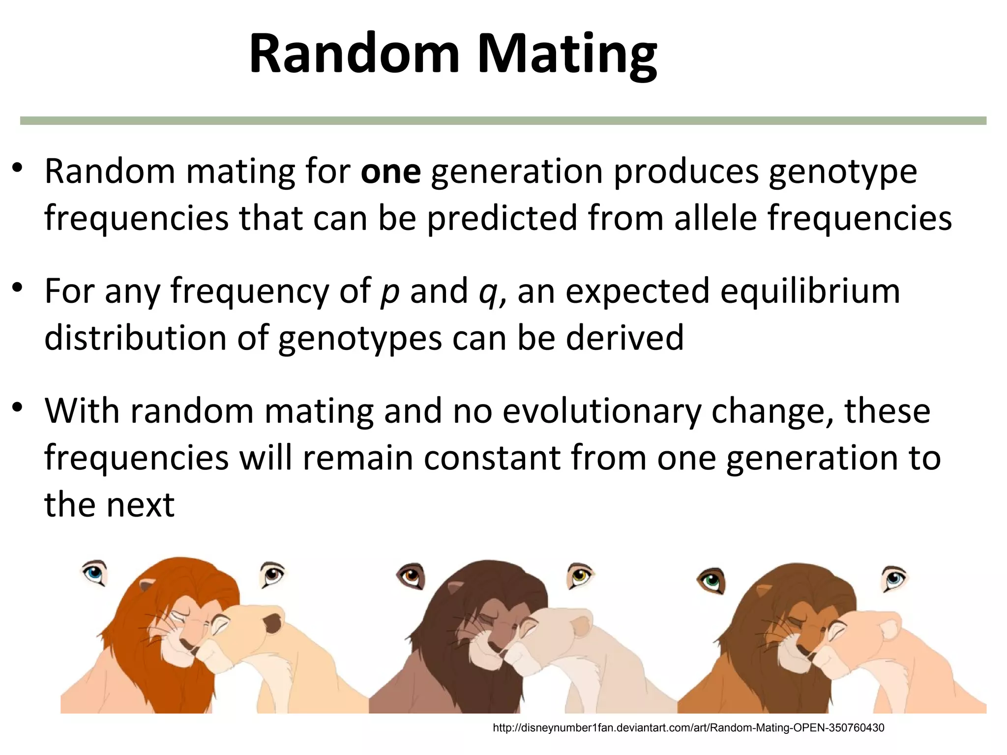 Random Mating
• Random mating for one generation produces genotype
frequencies that can be predicted from allele frequencies
• For any frequency of p and q, an expected equilibrium
distribution of genotypes can be derived
• With random mating and no evolutionary change, these
frequencies will remain constant from one generation to
the next
http://disneynumber1fan.deviantart.com/art/Random-Mating-OPEN-350760430
 