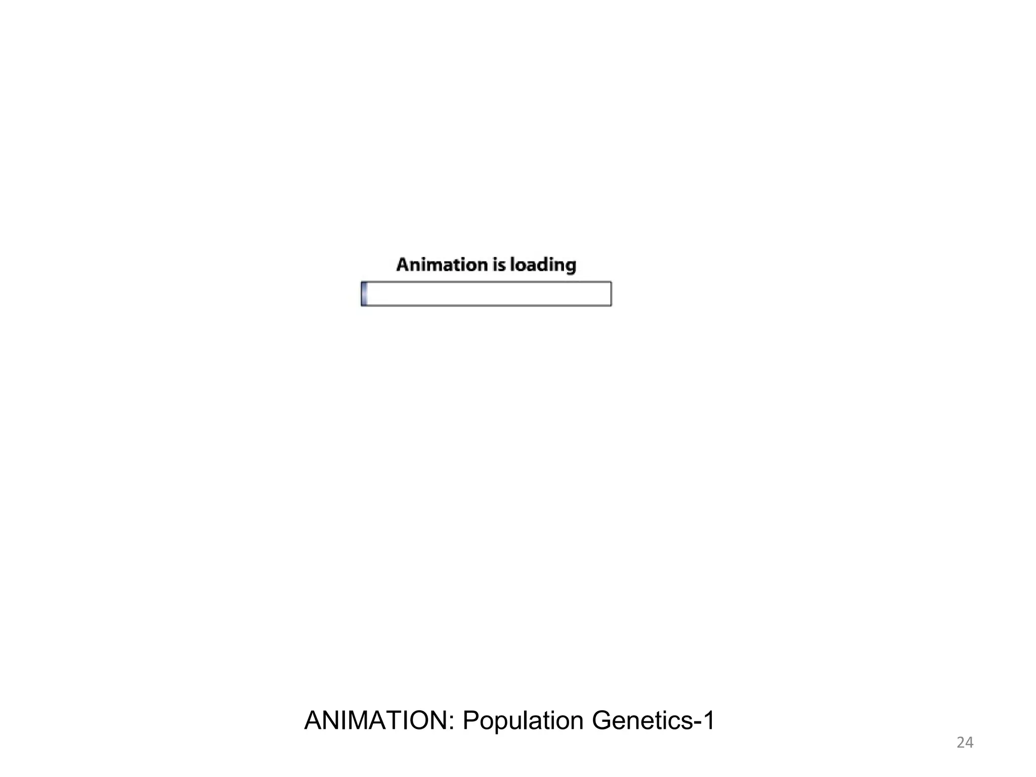 24
ANIMATION: Population Genetics-1
 
