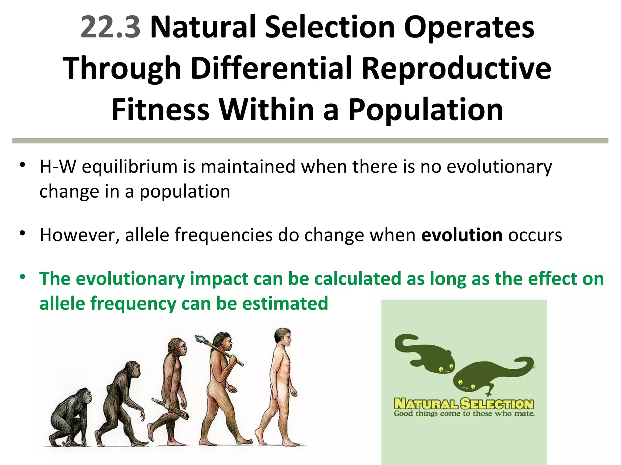 22.3 Natural Selection Operates
Through Differential Reproductive
Fitness Within a Population
• H-W equilibrium is maintained when there is no evolutionary
change in a population
• However, allele frequencies do change when evolution occurs
• The evolutionary impact can be calculated as long as the effect on
allele frequency can be estimated
 