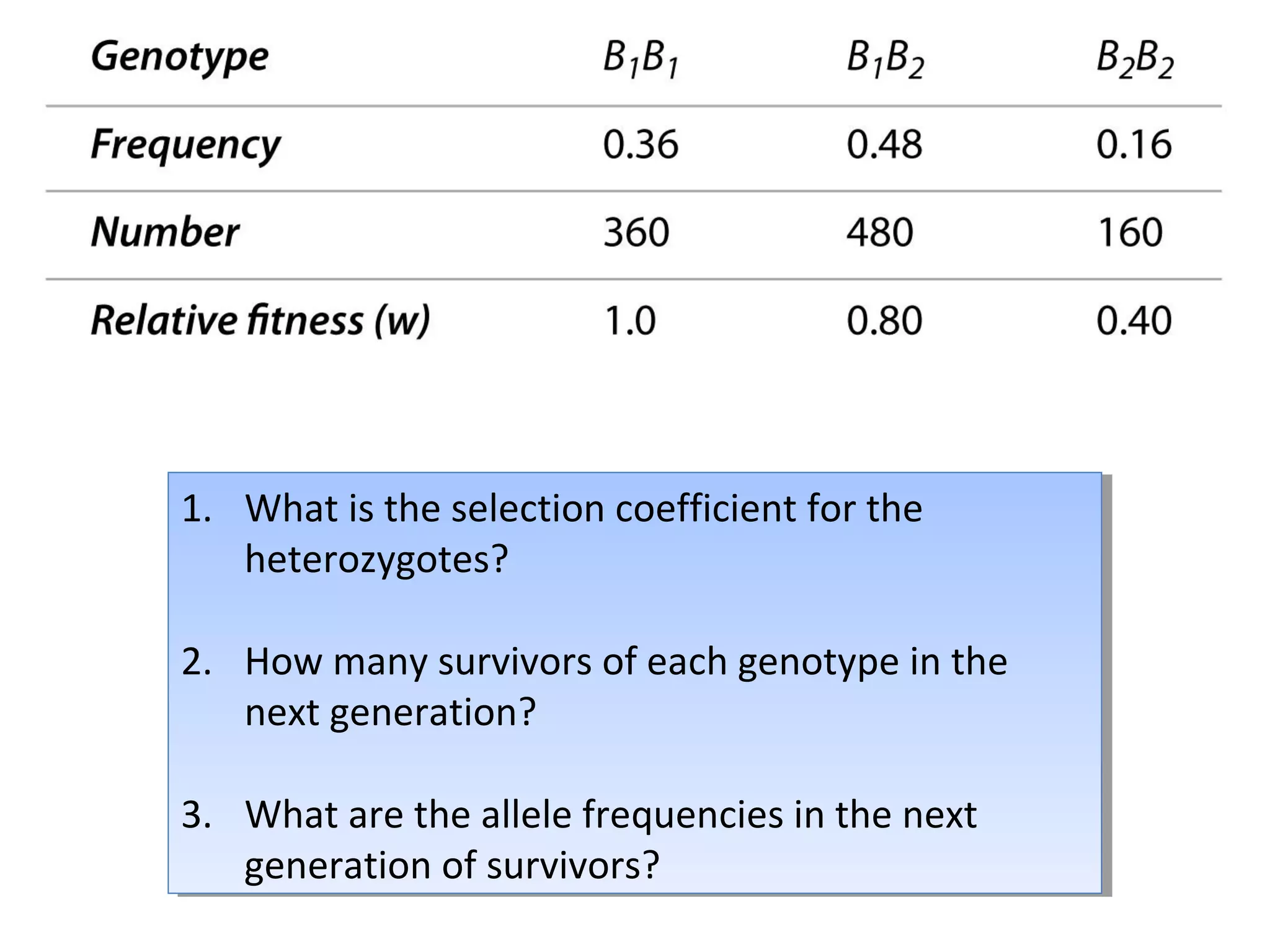 1. What is the selection coefficient for the
heterozygotes?
2. How many survivors of each genotype in the
next generation?
3. What are the allele frequencies in the next
generation of survivors?
1. What is the selection coefficient for the
heterozygotes?
2. How many survivors of each genotype in the
next generation?
3. What are the allele frequencies in the next
generation of survivors?
 