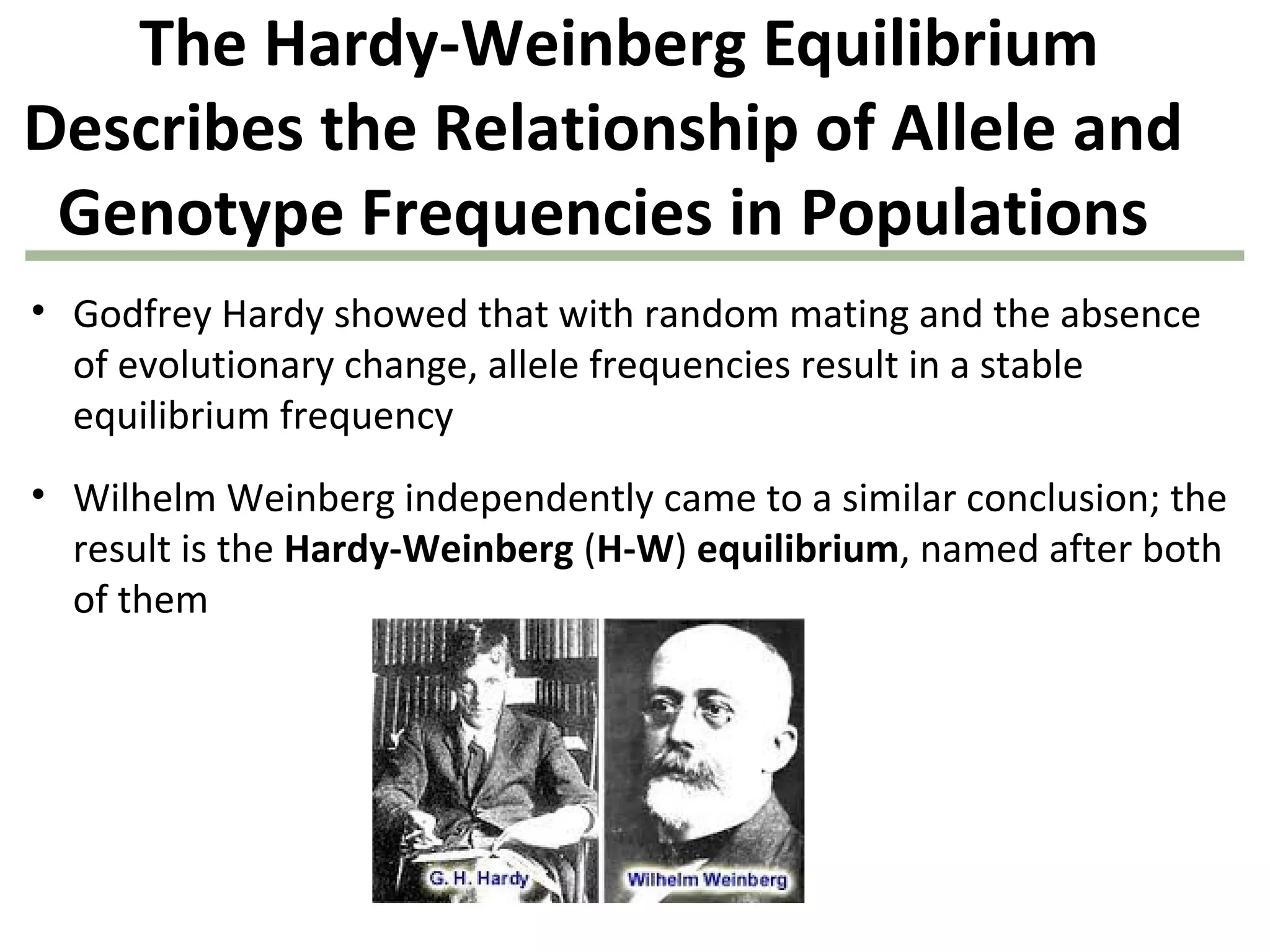The Hardy-Weinberg Equilibrium
Describes the Relationship of Allele and
Genotype Frequencies in Populations
• Godfrey Hardy showed that with random mating and the absence
of evolutionary change, allele frequencies result in a stable
equilibrium frequency
• Wilhelm Weinberg independently came to a similar conclusion; the
result is the Hardy-Weinberg (H-W) equilibrium, named after both
of them
 
