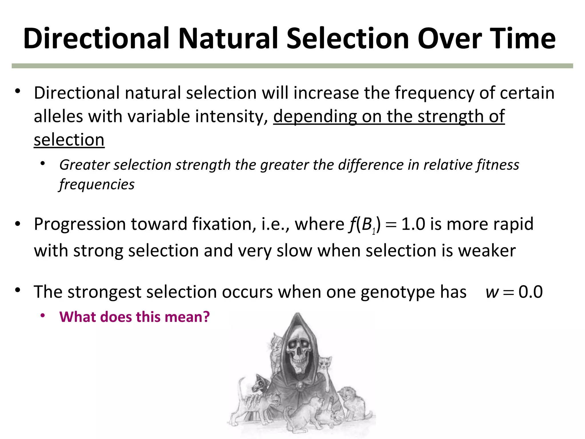 Directional Natural Selection Over Time
• Directional natural selection will increase the frequency of certain
alleles with variable intensity, depending on the strength of
selection
• Greater selection strength the greater the difference in relative fitness
frequencies
• Progression toward fixation, i.e., where f(B1) = 1.0 is more rapid
with strong selection and very slow when selection is weaker
• The strongest selection occurs when one genotype has w = 0.0
• What does this mean?
 