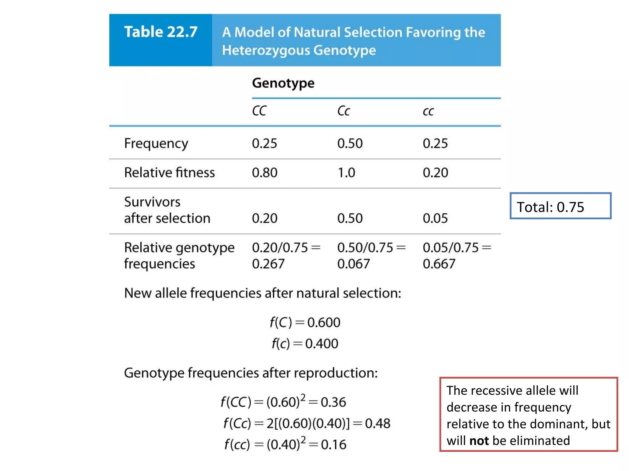 The recessive allele will
decrease in frequency
relative to the dominant, but
will not be eliminated
Total: 0.75
 