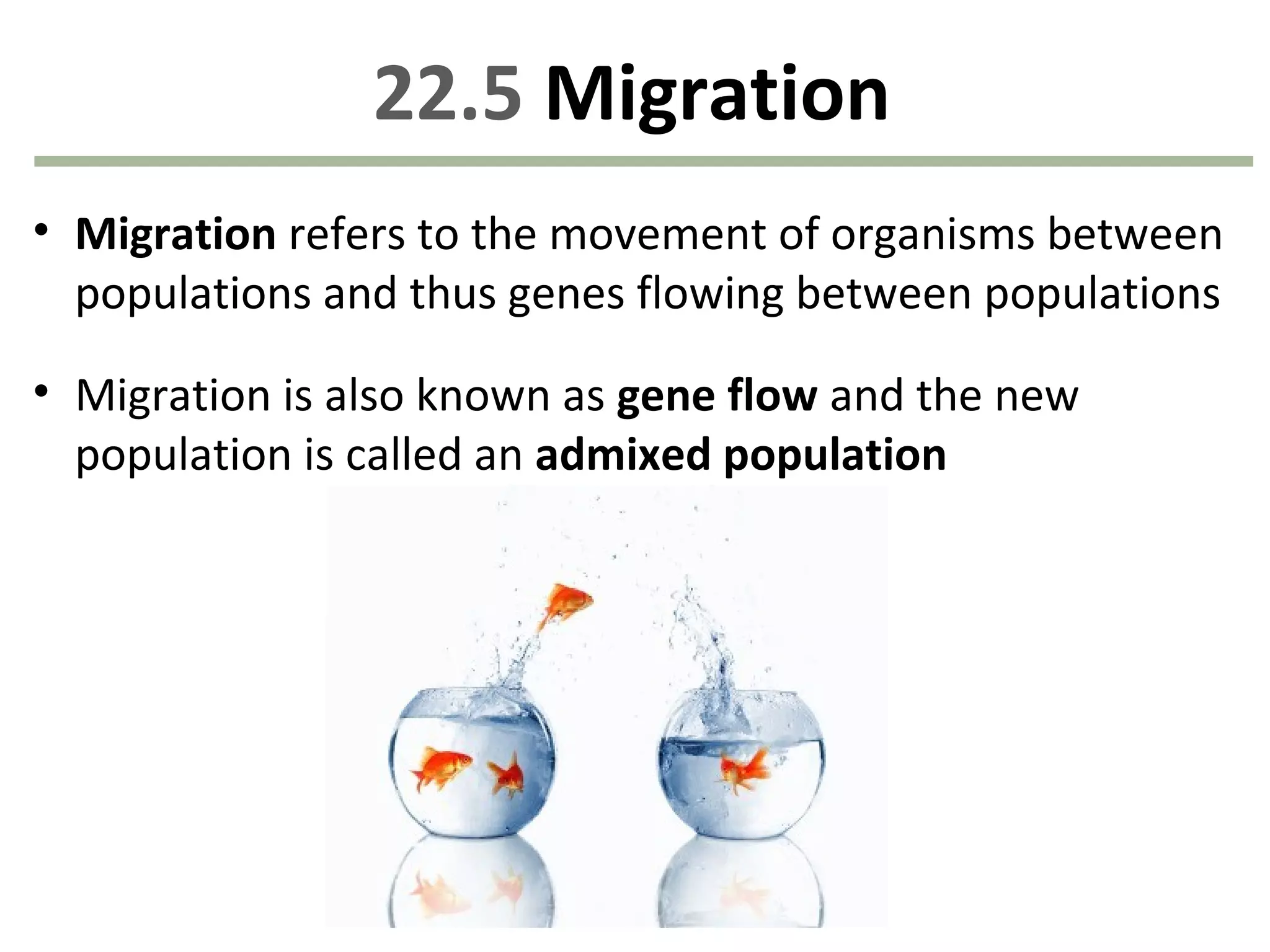 22.5 Migration
• Migration refers to the movement of organisms between
populations and thus genes flowing between populations
• Migration is also known as gene flow and the new
population is called an admixed population
 