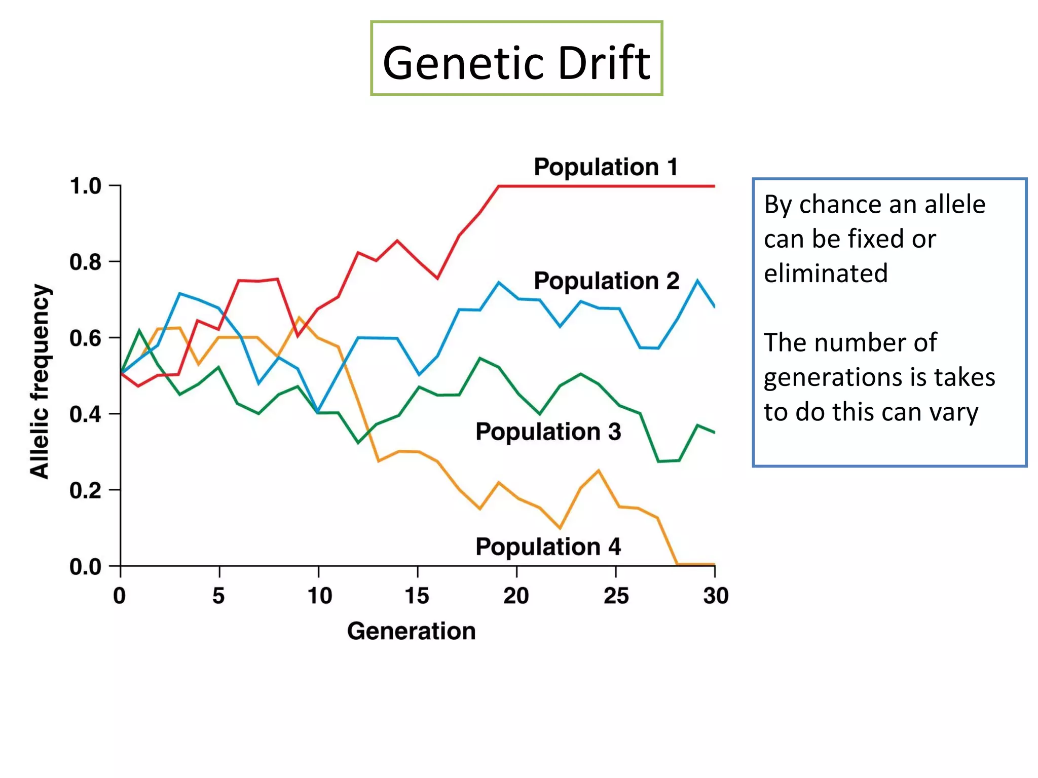 By chance an allele
can be fixed or
eliminated
The number of
generations is takes
to do this can vary
Genetic Drift
 