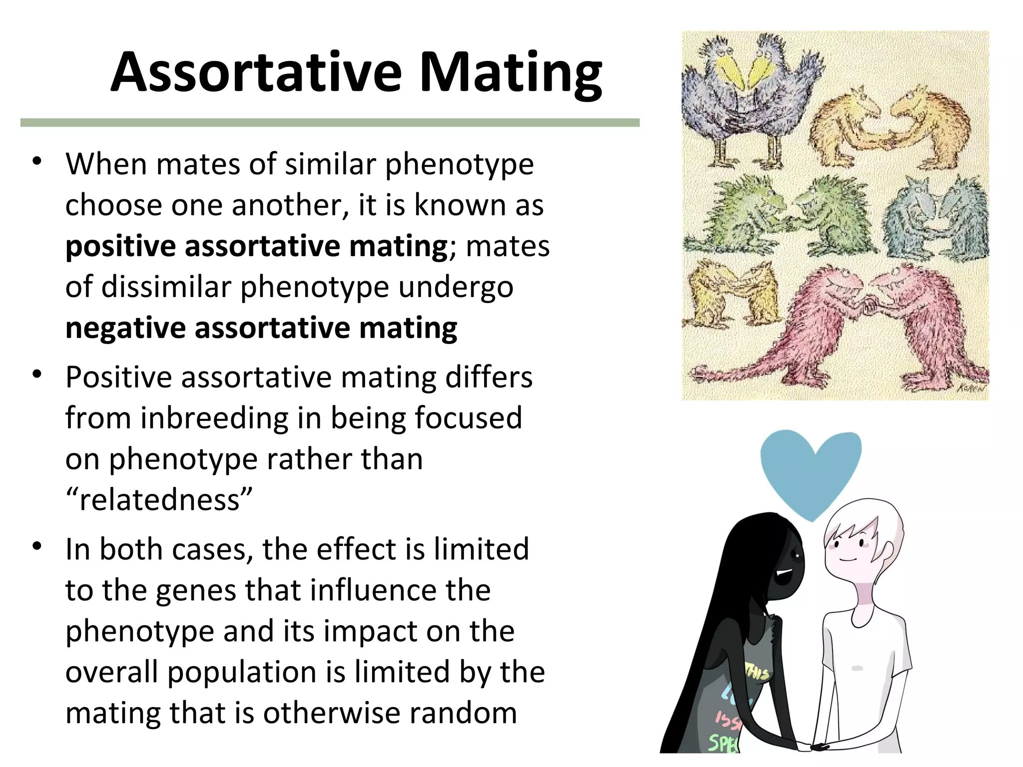 Assortative Mating
• When mates of similar phenotype
choose one another, it is known as
positive assortative mating; mates
of dissimilar phenotype undergo
negative assortative mating
• Positive assortative mating differs
from inbreeding in being focused
on phenotype rather than
“relatedness”
• In both cases, the effect is limited
to the genes that influence the
phenotype and its impact on the
overall population is limited by the
mating that is otherwise random
 