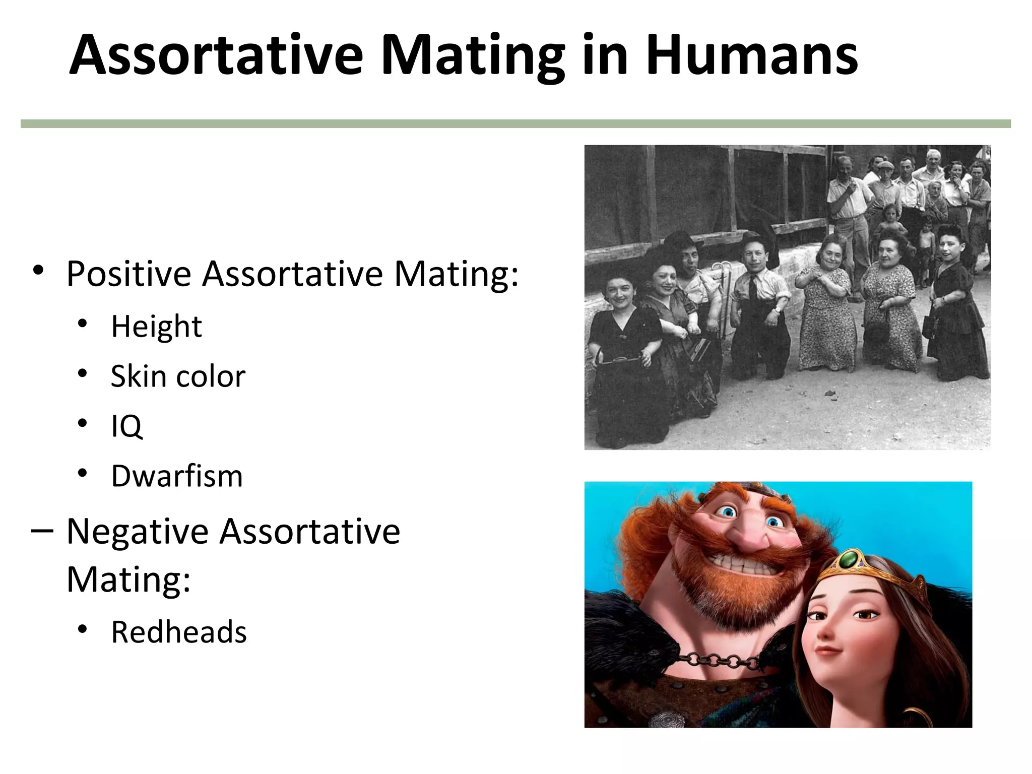 Assortative Mating in Humans
• Positive Assortative Mating:
• Height
• Skin color
• IQ
• Dwarfism
– Negative Assortative
Mating:
• Redheads
 