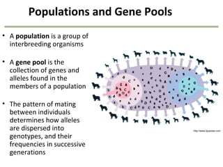 Genetics chapter 22 | PPT