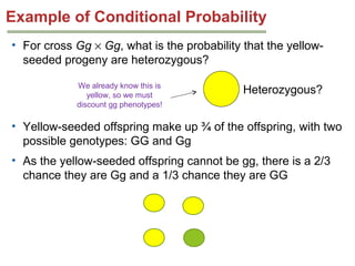 Example of Conditional Probability
• For cross Gg × Gg, what is the probability that the yellowseeded progeny are heterozygous?
We already know this is
yellow, so we must
discount gg phenotypes!

Heterozygous?

• Yellow-seeded offspring make up ¾ of the offspring, with two
possible genotypes: GG and Gg
• As the yellow-seeded offspring cannot be gg, there is a 2/3
chance they are Gg and a 1/3 chance they are GG

 