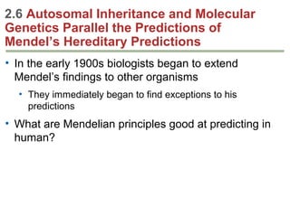2.6 Autosomal Inheritance and Molecular
Genetics Parallel the Predictions of
Mendel’s Hereditary Predictions
• In the early 1900s biologists began to extend
Mendel’s findings to other organisms
• They immediately began to find exceptions to his
predictions

• What are Mendelian principles good at predicting in
human?

 