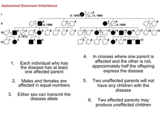 Autosomal Dominant Inheritance

4.
1.

2.
3.

In crosses where one parent is
affected and the other is not,
approximately half the offspring
express the disease

5.

Two unaffected parents will not
have any children with the
disease

Each individual who has
the disease has at least
one affected parent
Males and females are
affected in equal numbers
Either sex can transmit the
disease allele

6.

Two affected parents may
produce unaffected children

 