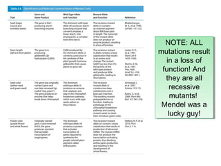 NOTE: ALL
NOTE: ALL
mutations result
mutations result
in a loss of
in a loss of
function! And
function! And
they are all
they are all
recessive
recessive
mutants!
mutants!
Mendel was a
Mendel was a
lucky guy!
lucky guy!

 