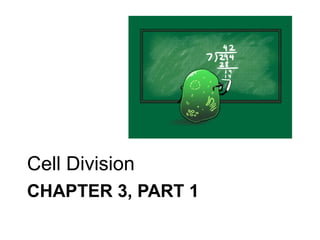 Cell Division
CHAPTER 3, PART 1

 