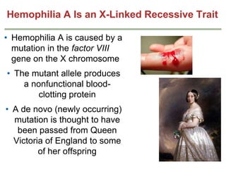 Hemophilia A Is an X-Linked Recessive Trait
• Hemophilia A is caused by a
mutation in the factor VIII
gene on the X chromosome
• The mutant allele produces
a nonfunctional bloodclotting protein
• A de novo (newly occurring)
mutation is thought to have
been passed from Queen
Victoria of England to some
of her offspring

 