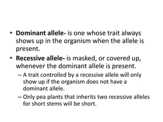 • Dominant allele- is one whose trait always
shows up in the organism when the allele is
present.
• Recessive allele- is masked, or covered up,
whenever the dominant allele is present.
– A trait controlled by a recessive allele will only
show up if the organism does not have a
dominant allele.
– Only pea plants that inherits two recessive alleles
for short stems will be short.
 