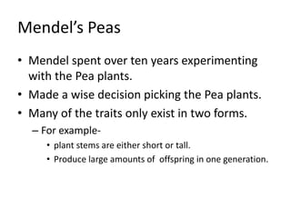 Mendel’s Peas
• Mendel spent over ten years experimenting
with the Pea plants.
• Made a wise decision picking the Pea plants.
• Many of the traits only exist in two forms.
– For example-
• plant stems are either short or tall.
• Produce large amounts of offspring in one generation.
 