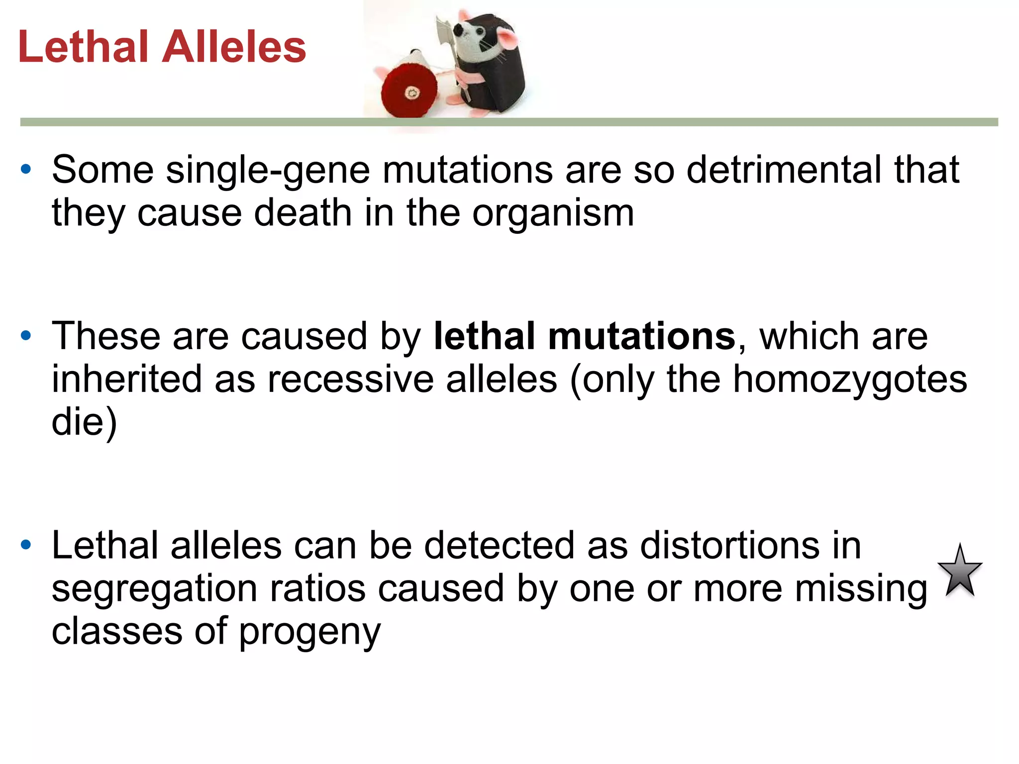 Lethal Alleles
• Some single-gene mutations are so detrimental that
they cause death in the organism
• These are caused by lethal mutations, which are
inherited as recessive alleles (only the homozygotes
die)

• Lethal alleles can be detected as distortions in
segregation ratios caused by one or more missing
classes of progeny

 