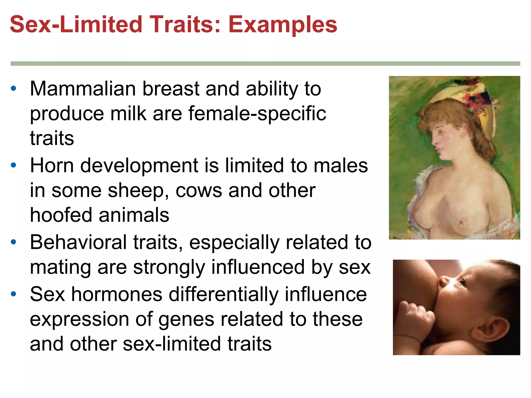 Sex-Limited Traits: Examples
• Mammalian breast and ability to
produce milk are female-specific
traits
• Horn development is limited to males
in some sheep, cows and other
hoofed animals
• Behavioral traits, especially related to
mating are strongly influenced by sex
• Sex hormones differentially influence
expression of genes related to these
and other sex-limited traits

 