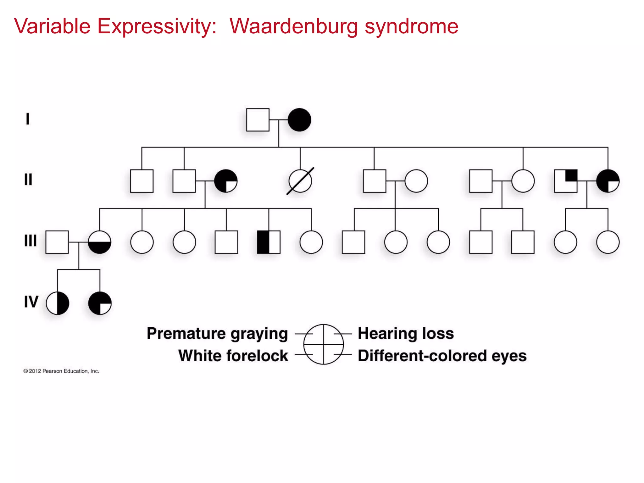 Variable Expressivity: Waardenburg syndrome

 