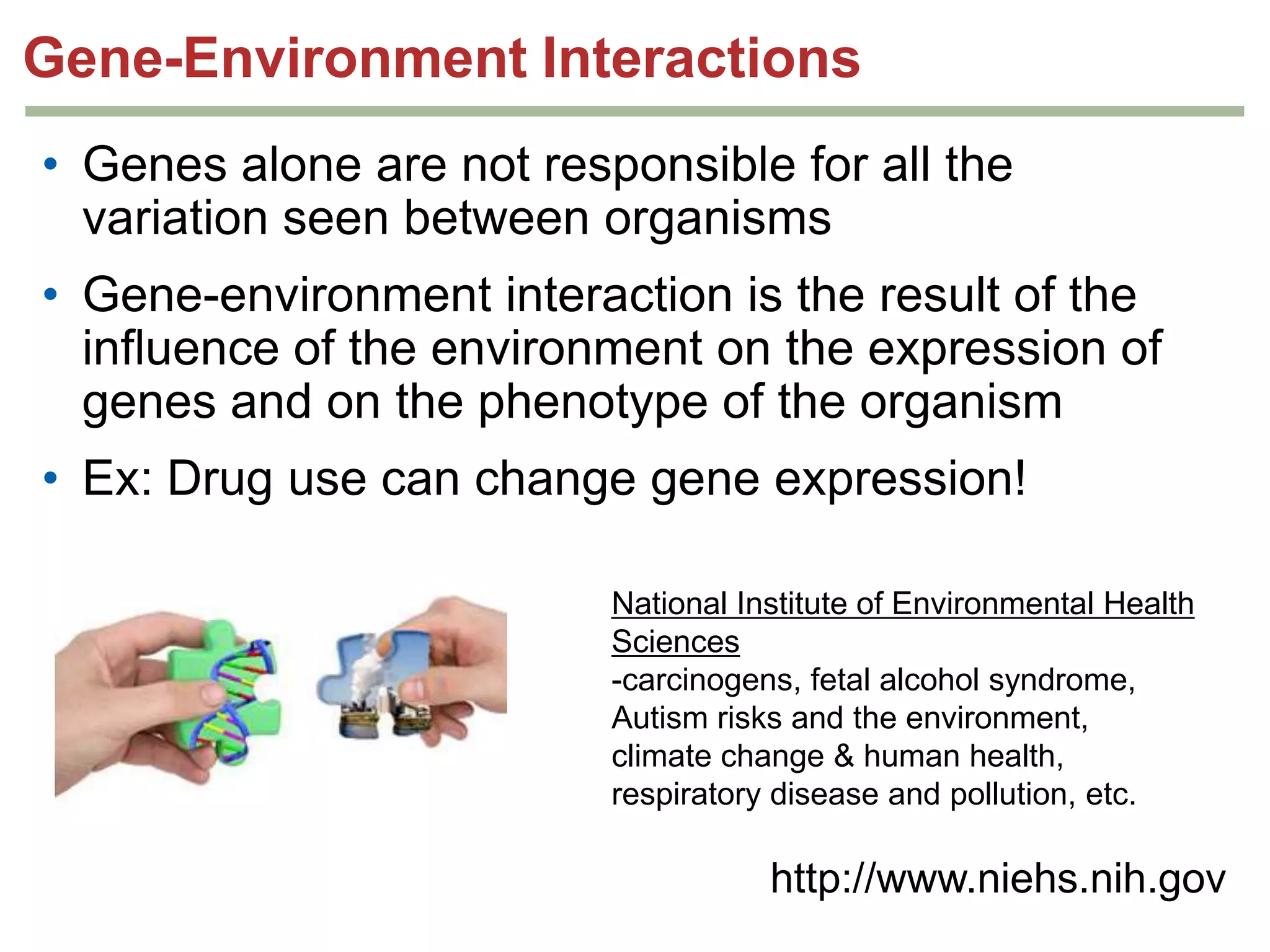 Gene-Environment Interactions
• Genes alone are not responsible for all the
variation seen between organisms

• Gene-environment interaction is the result of the
influence of the environment on the expression of
genes and on the phenotype of the organism
• Ex: Drug use can change gene expression!
National Institute of Environmental Health
Sciences
-carcinogens, fetal alcohol
syndrome, Autism risks and the
environment, climate change & human
health, respiratory disease and
pollution, etc.

http://www.niehs.nih.gov

 