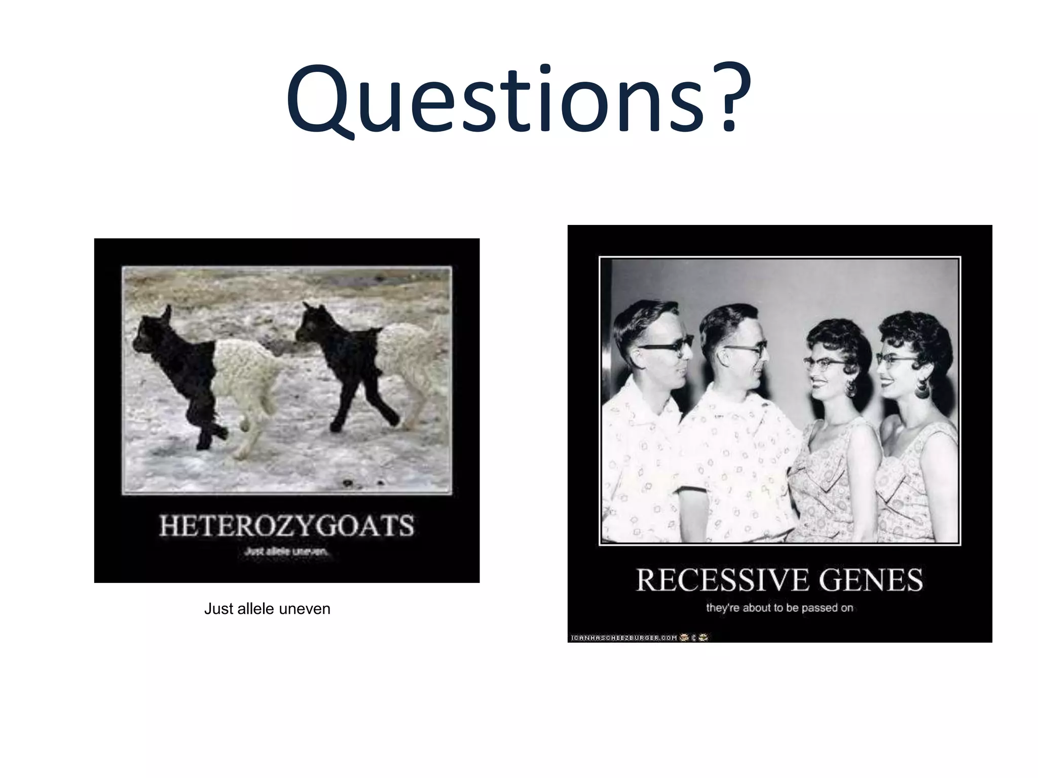 Questions?

Just allele uneven

 