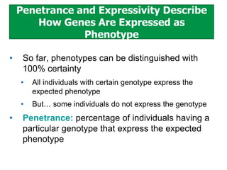 Penetrance and Expressivity Describe
How Genes Are Expressed as
Phenotype
•

So far, phenotypes can be distinguished with
100% certainty
•
•

•

All individuals with certain genotype express the
expected phenotype
But… some individuals do not express the genotype

Penetrance: percentage of individuals having a
particular genotype that express the expected
phenotype

 