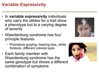 Variable Expressivity
• In variable expressivity individuals
who carry the alleles for a trait show
a phenotype but to a varying degree
of severity
• Waardenburg syndrome has four
principle features
• Premature graying, hearing loss, white
forelock, different colored eyes

• Each family member with
Waardenburg syndrome has the
same genotype but shows a different
combination of symptoms

 