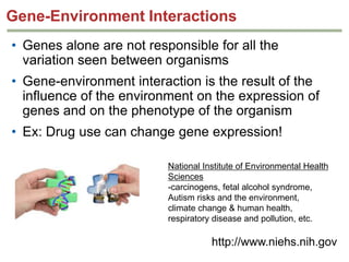 Gene-Environment Interactions
• Genes alone are not responsible for all the
variation seen between organisms

• Gene-environment interaction is the result of the
influence of the environment on the expression of
genes and on the phenotype of the organism
• Ex: Drug use can change gene expression!
National Institute of Environmental Health
Sciences
-carcinogens, fetal alcohol
syndrome, Autism risks and the
environment, climate change & human
health, respiratory disease and
pollution, etc.

http://www.niehs.nih.gov

 