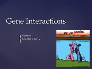 {{
Gene InteractionsGene Interactions
GeneticsGenetics
Chapter 4, Part 2Chapter 4, Part 2
 
