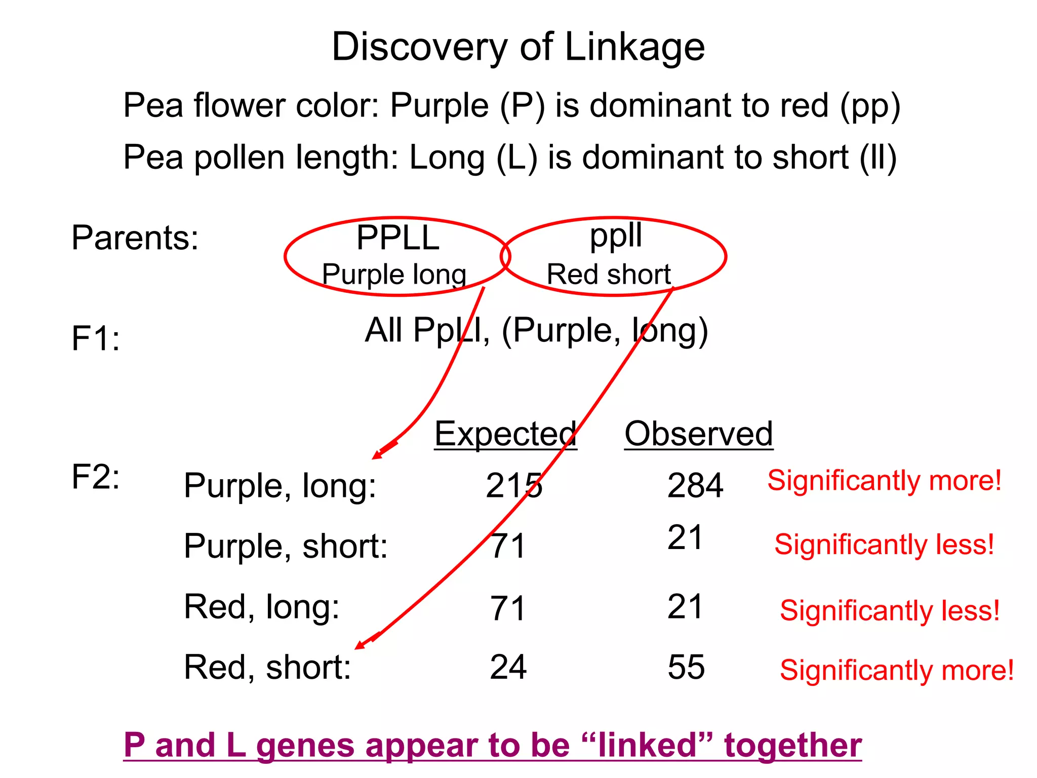 Discovery of Linkage
Pea flower color: Purple (P) is dominant to red (pp)
Pea pollen length: Long (L) is dominant to short (ll)
PPLL

ppll

Purple long

Red short

Parents:

All PpLl, (Purple, long)

F1:

F2:

Purple, long:

Expected
215

Observed
284 Significantly more!
21
Significantly less!

Purple, short:

71

Red, long:

71

21

Significantly less!

Red, short:

24

55

Significantly more!

P and L genes appear to be “linked” together

 