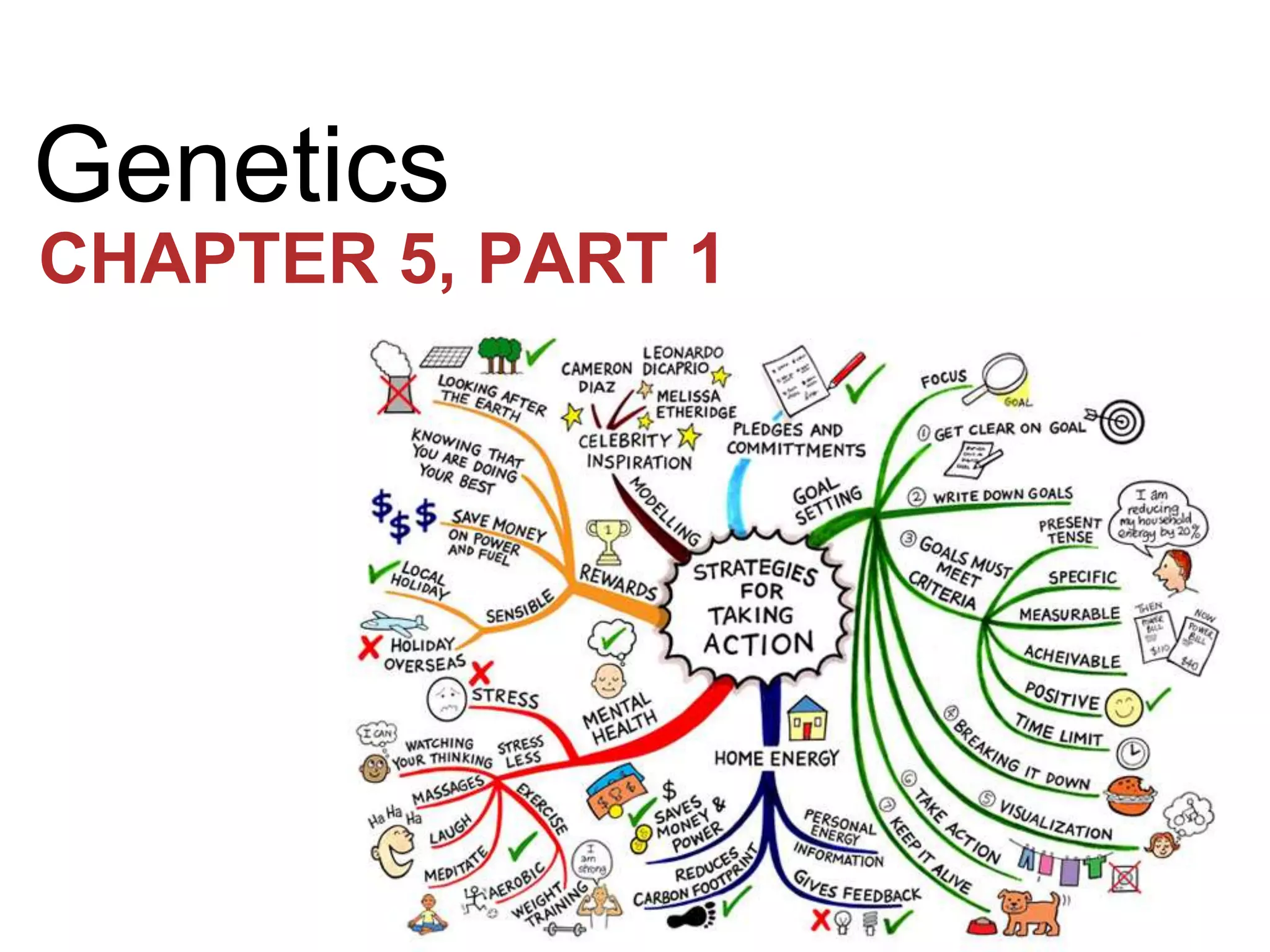 Genetics
CHAPTER 5, PART 1

 